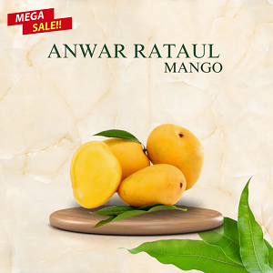 Anwar Ratol Mango-008
