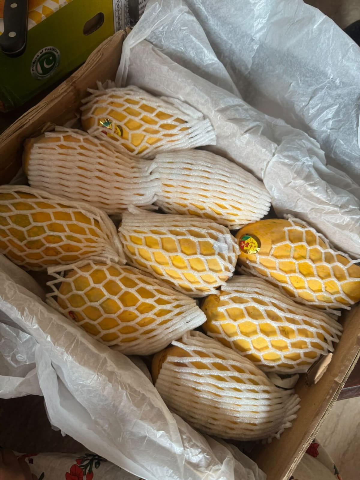 White Chaunsa Mango-003