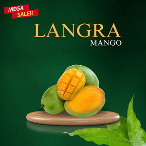 Langra Mango-009